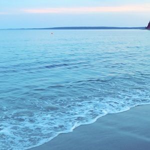 Meet your Posher, Jackelyn